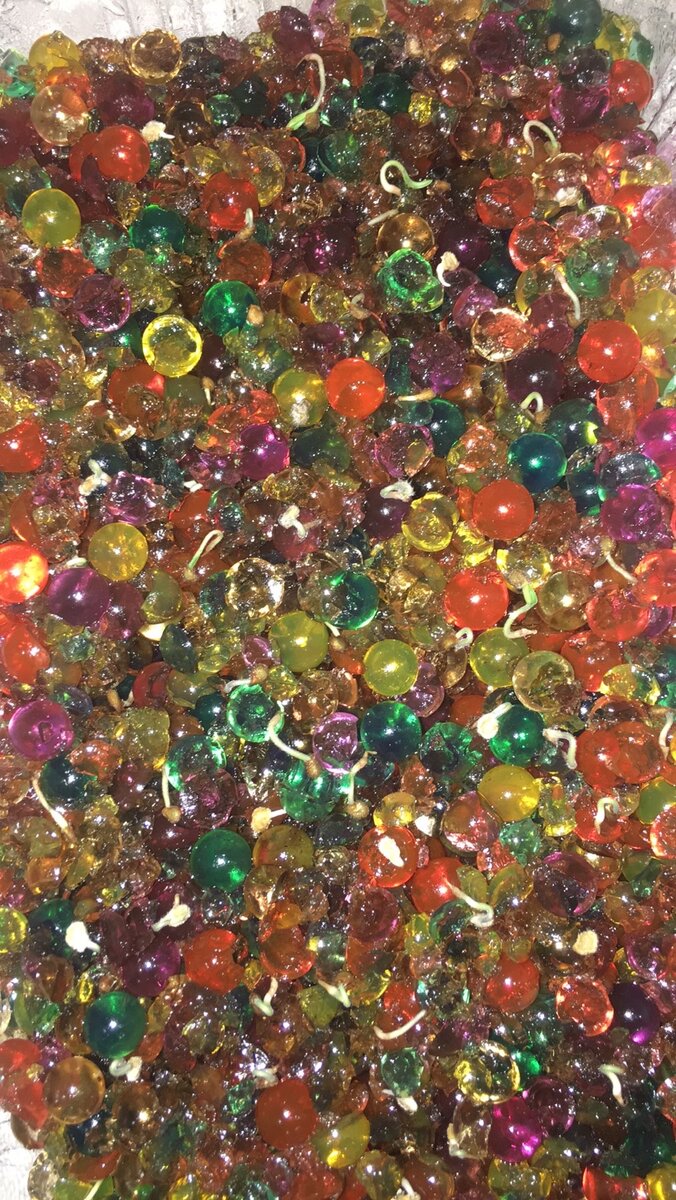 Как и многие я увлекаюсь выращиванием овощей у себя на участке