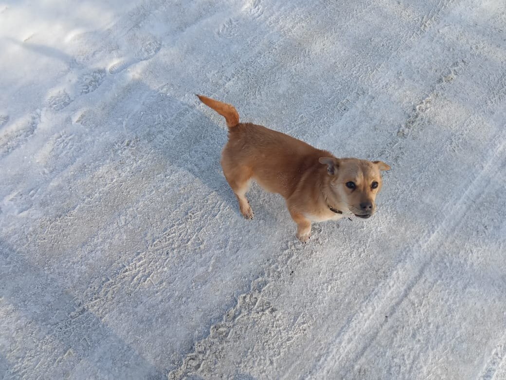 Случайный мой  попутчик ☺)))) 