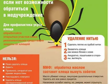 взято из общего доступа