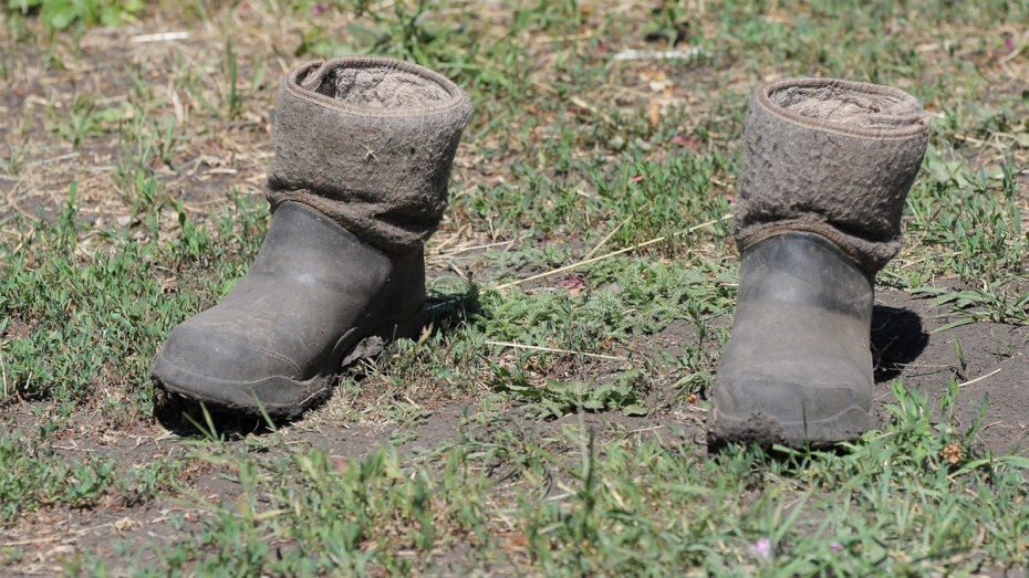    Автор фото: Андрей Архипов (из архива)