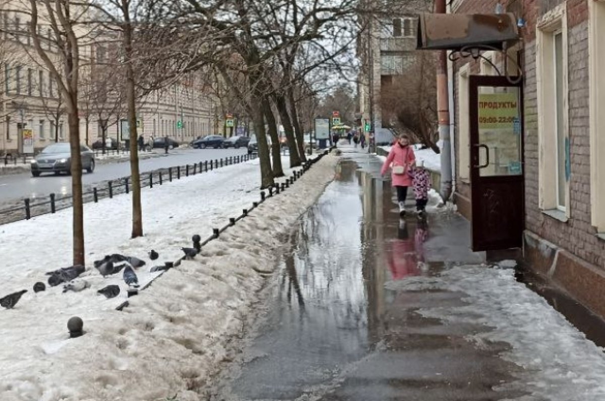    За сутки в Петербурге растаяло две трети всего снега