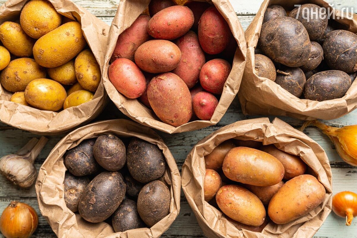     123RF/legion-media.ru