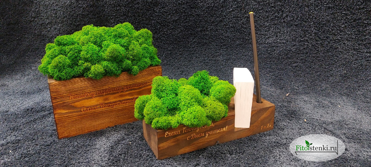 Композиции со стабилизированным мхом ягель, сделанные на подарок учителям.