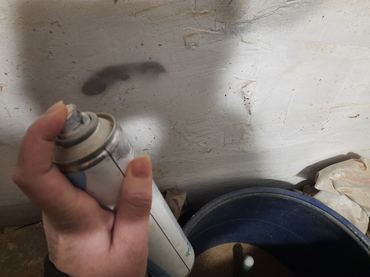 фото автора. Спрей