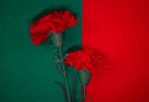    Фото: unsplash.com / Teslariu Mihai Гульназ Астахова