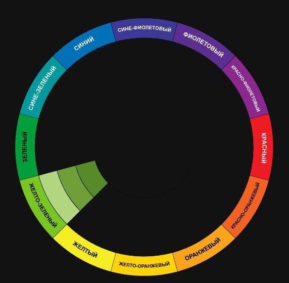 1. Монохромная схема