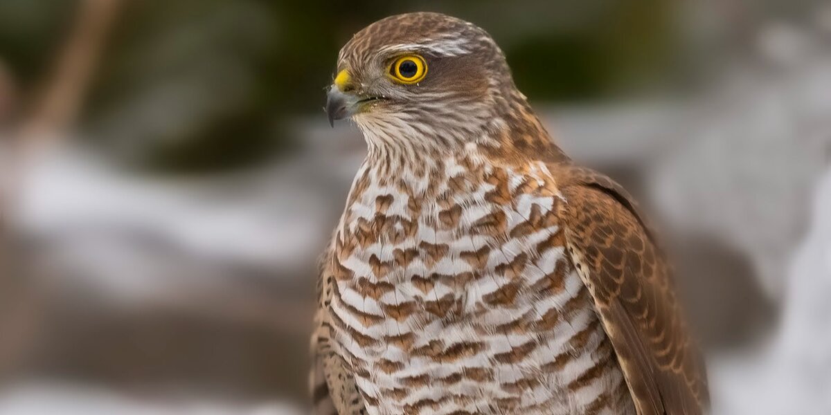 Фото с сайта mos.ru 