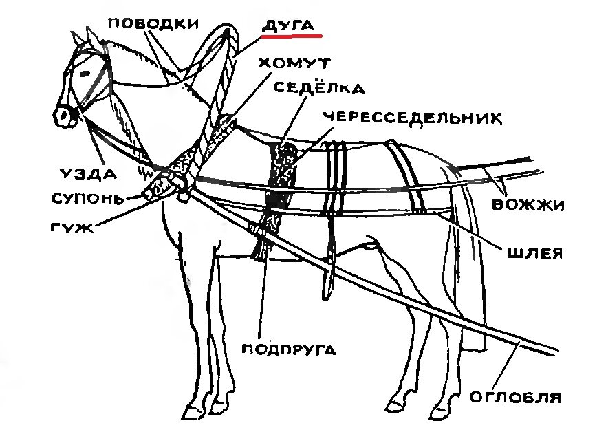 Зга. Схема запряжки лошади. Упряжка для лошади из чего состоит. Элементы упряжи лошади в телегу. Элементы упряжки на лошадь.