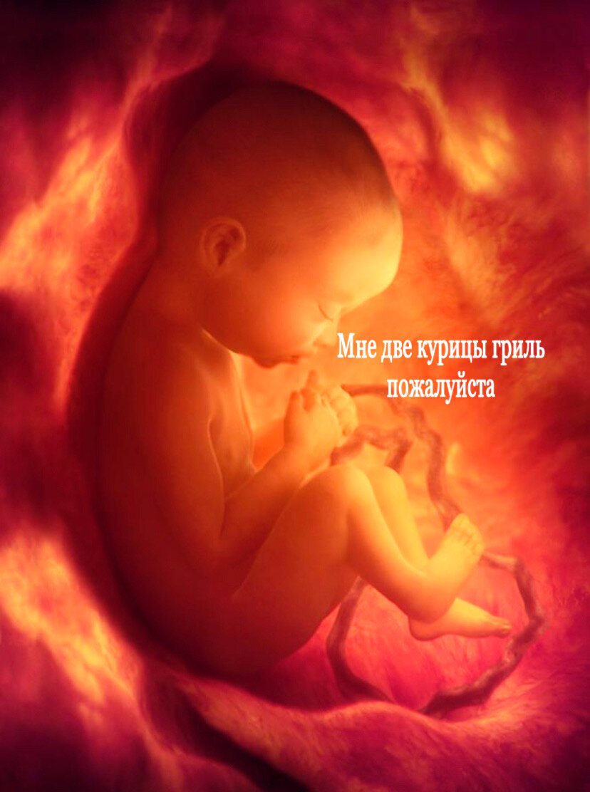 Узи живота в момент заказа еды ребенком. Слова написаны субтитрами. Фото в цвете