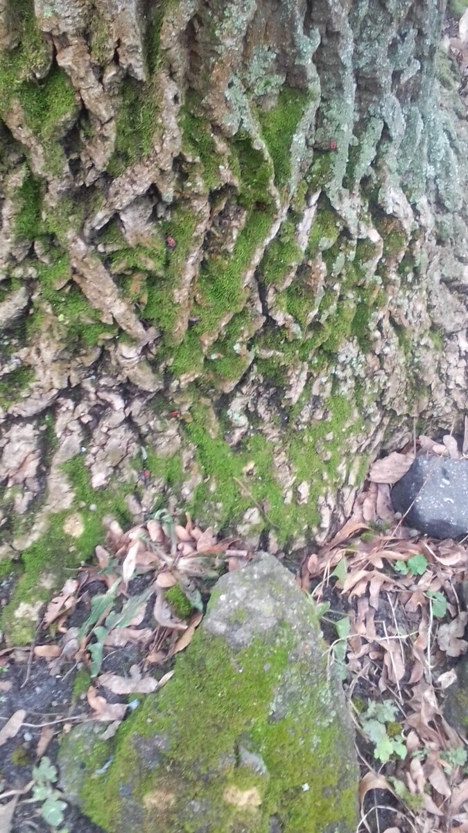 Фото сила - в знаниях