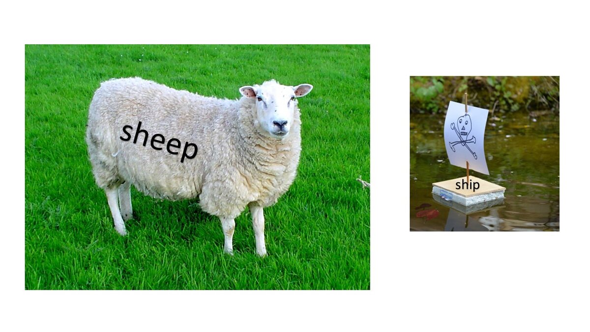 Классический пример: овца - sheep (долгая гласная), а корабль – ship (короткая гласная).