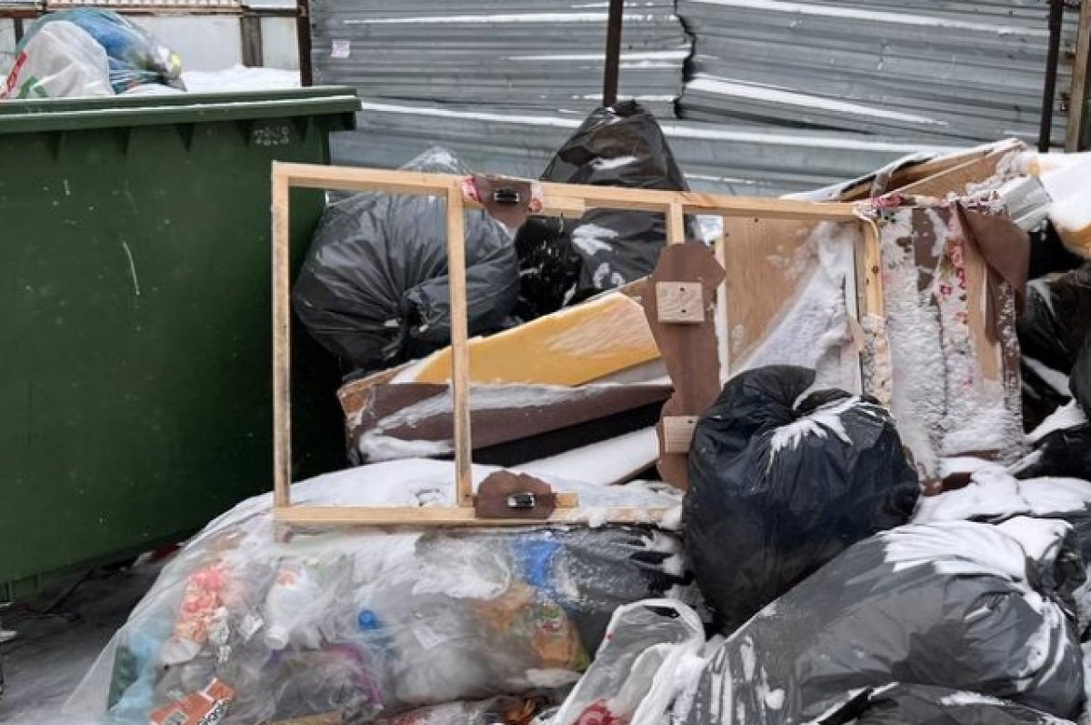    Барнаульцы жалуются на помойку посреди улицы