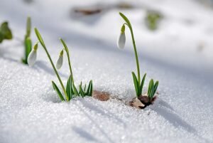    Фото: pibig.info Мария Спиридонова