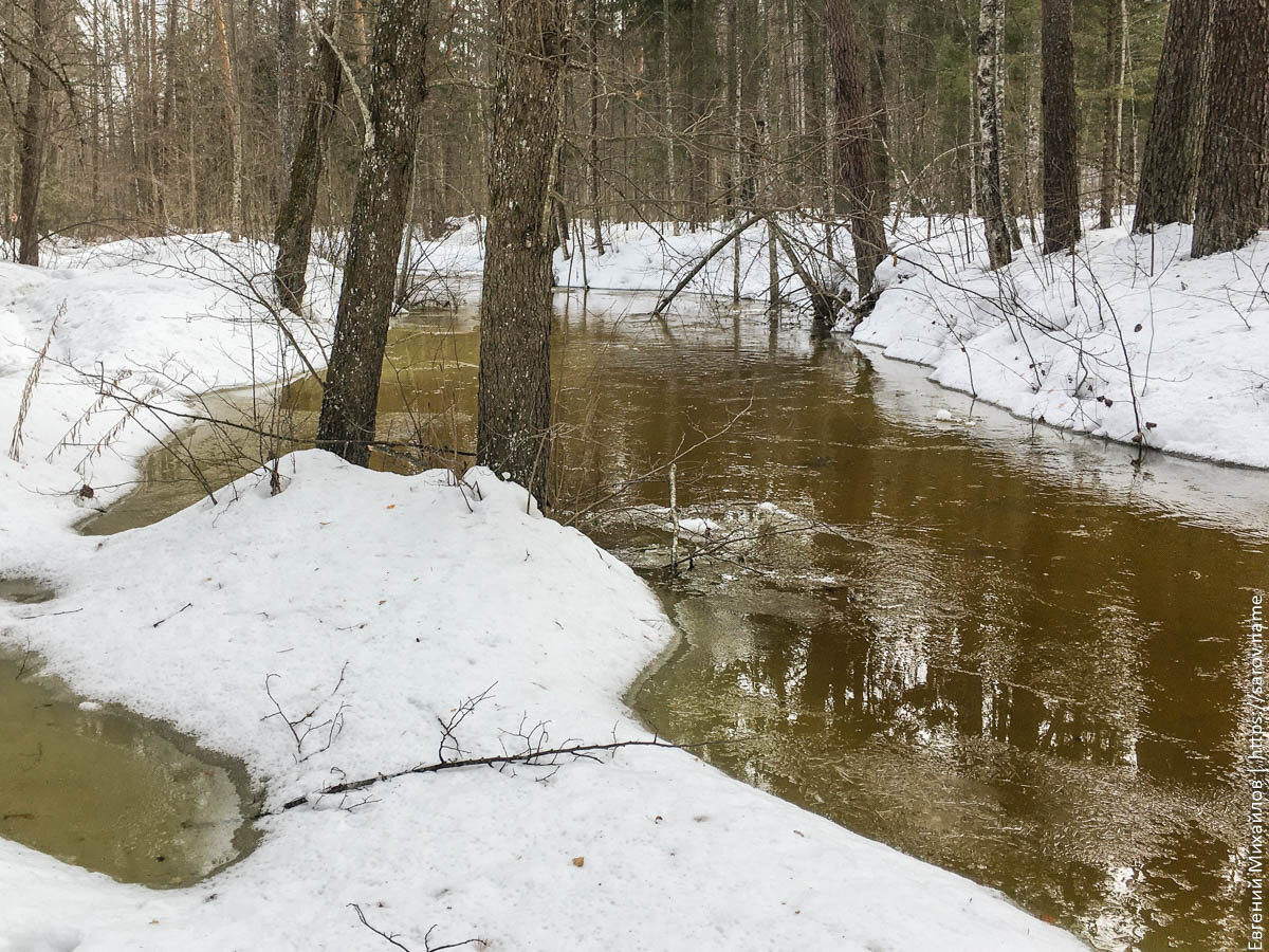 Саровка выходит из берегов