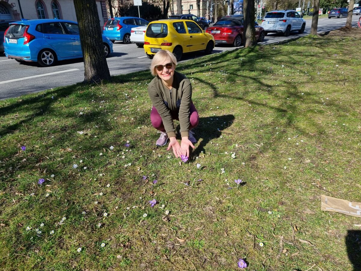 Крокусы цветут, Мюнхен, 18.03.2023