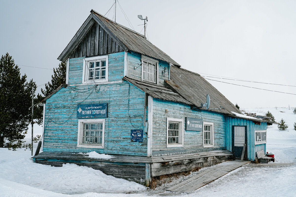 Дети Белого моря - бельки. Роддом гренландских тюленей и Летняя Золотица |  ТЕРРИТОРИЯ КУЛЬТУРЫ | Дзен