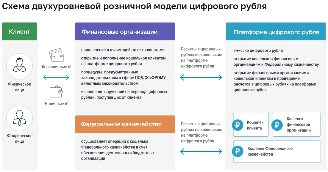 Цифровой рубль дорожная карта