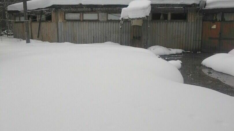     Новость о проблемах с очистными сооружениями в одном из карельских поселков дошла до Заксобрания РК. Об этом один из депутатов сообщил в соцсетях.