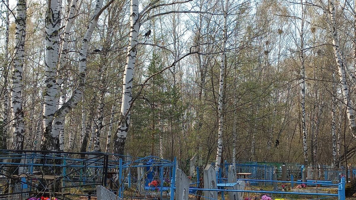 В Киселевске появится новое кладбище. ФОТО: Царьград 