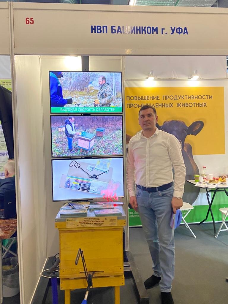    Демонстрация внедрения препаратов для пчел Фото:  АиФ/ Юлия Байджанова