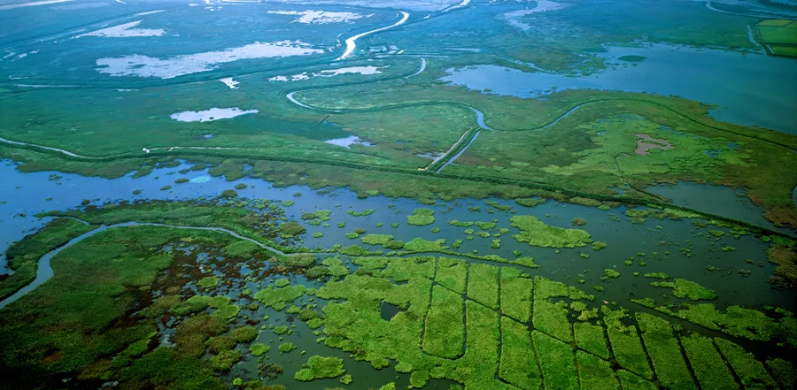 Largest freshwater lake