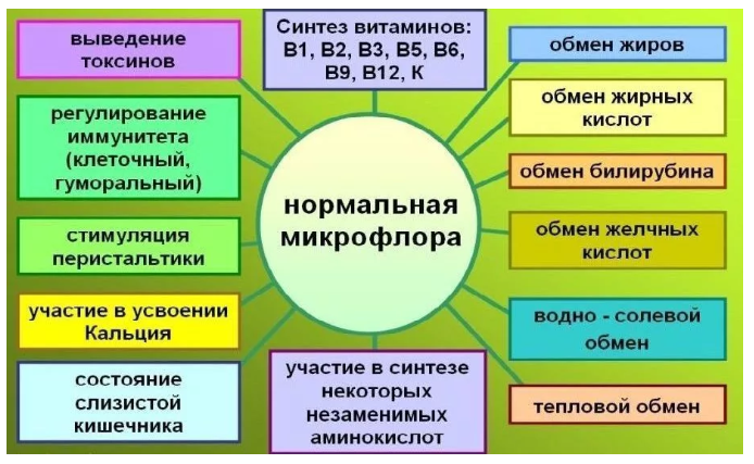 источник propionix.ru/mikroflora-zhkt