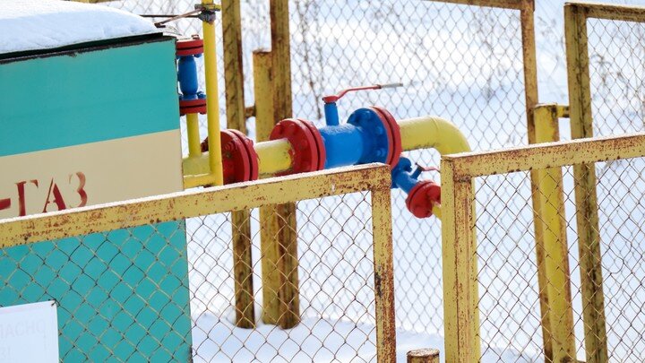 ELENA MAYOROVA/GLOBALLOOKPRESS