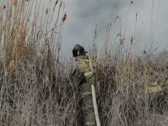     В черте Астрахани полыхали тростниковые заросли / ГКУ Волгоспас