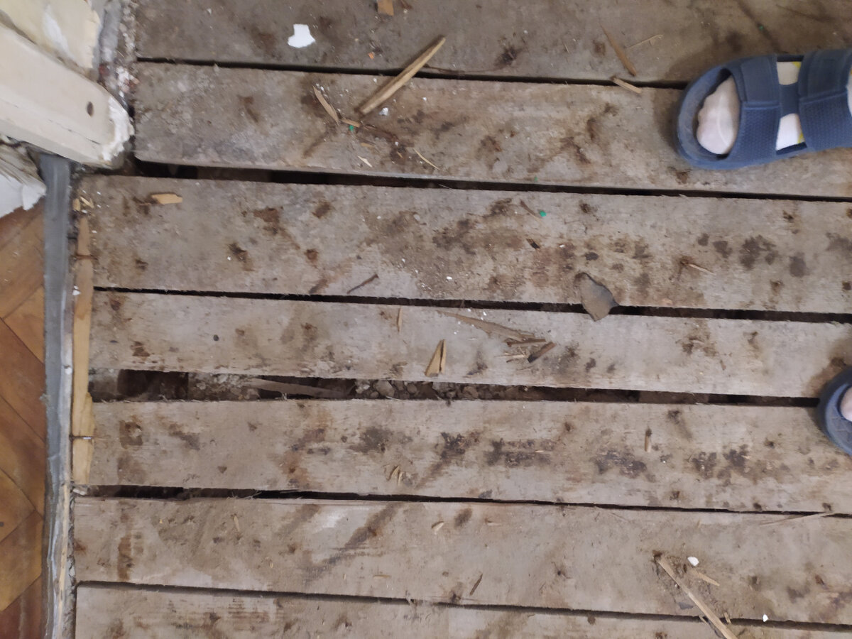 тут и крокодилы пробегут