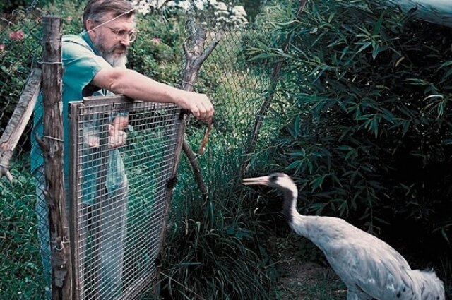    Фото: Реабилитационный центр диких животных "Ромашка"