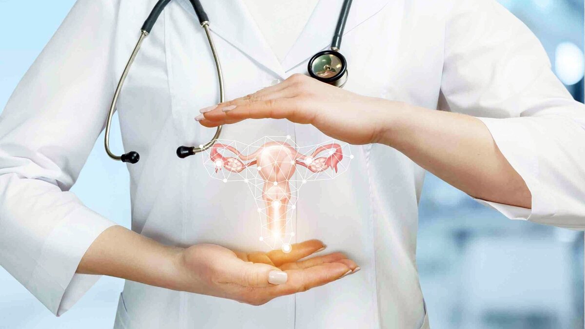 Кадавер курсы для гинекологов Скин Технолоджи