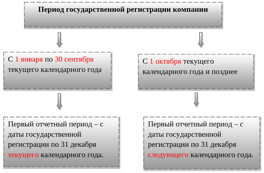 Вновь созданная организация