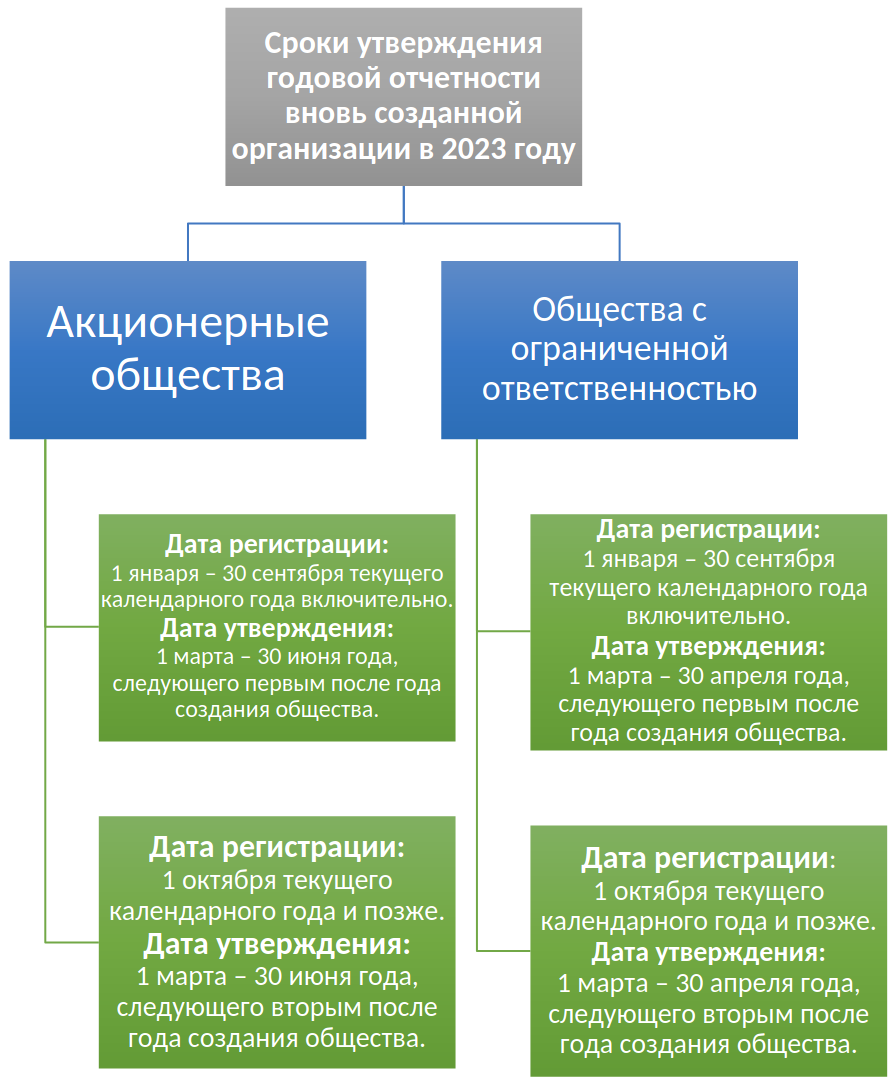 Отчетность вновь созданных организаций