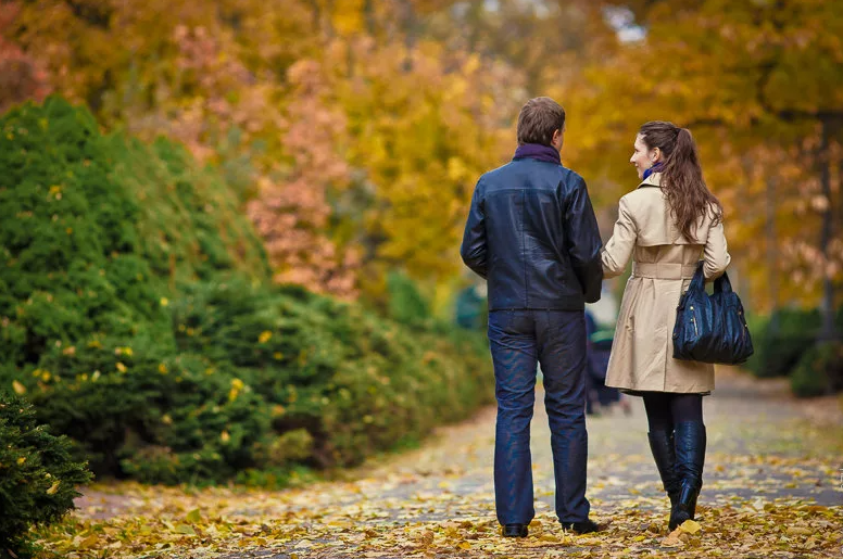 Яндекс картинки