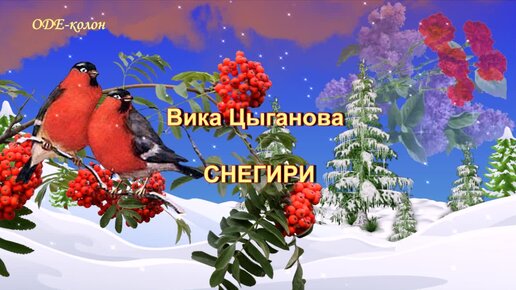 снегири песня цыганова. снегири песня цыганова. снегири песня цыганова. снегири песня цыганова. снегири песня цыганова.