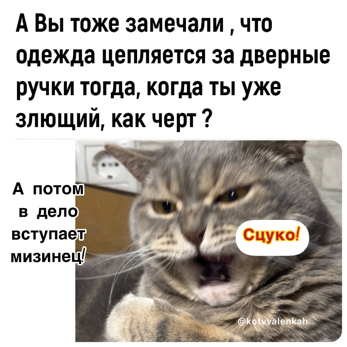 Мемы субботы, или как понять женщин?😼 | Кот в валенках Марсель | Дзен