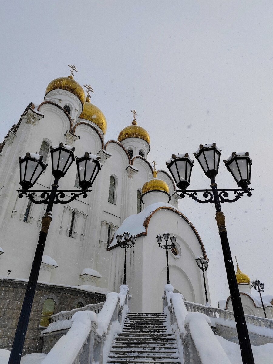 ГДЗ по окружающему миру 2 класс 1 часть Плешаков А.А. Новицкая М.