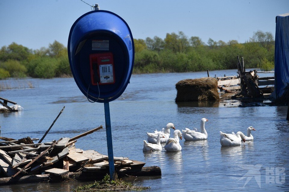     В поселке Борки в Рязани подтоплено 28 приусадебных участков. Владимир ВЕЛЕНГУРИН