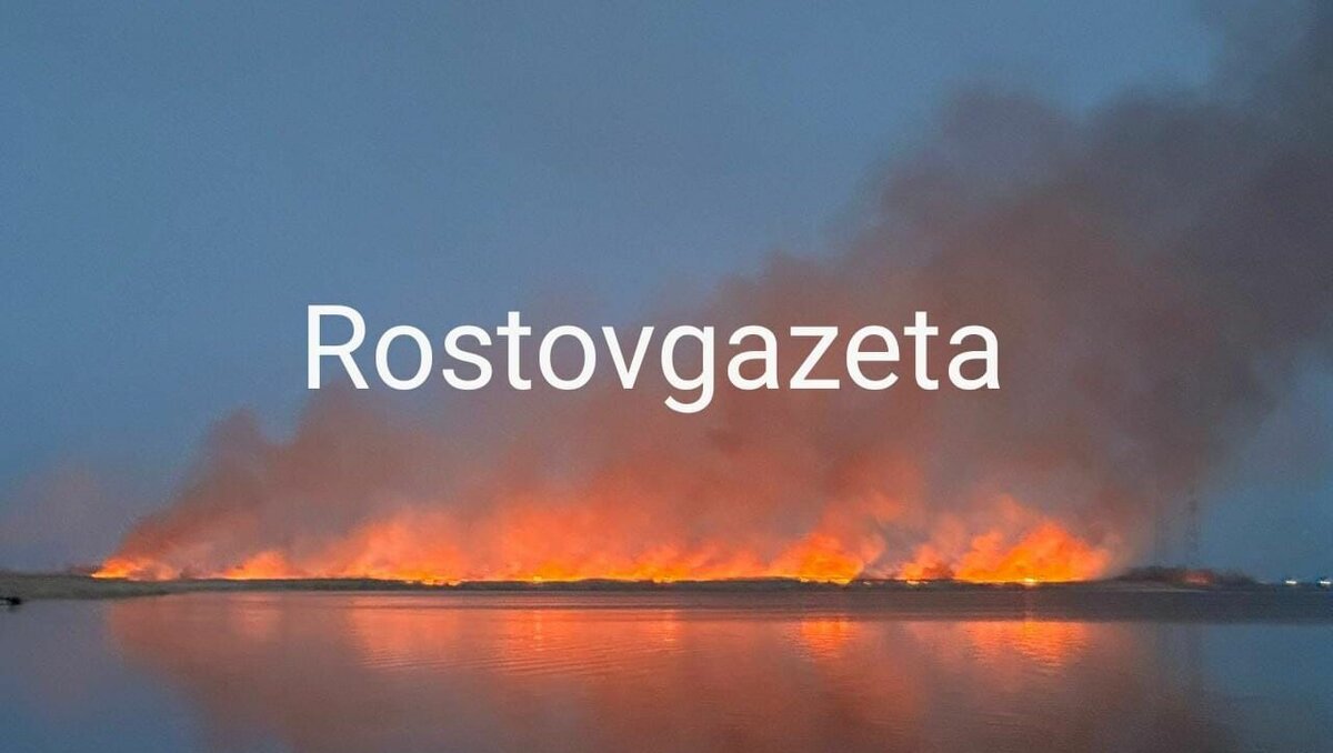     В Азовском районе Ростовской области загорелся камыш вдоль пристани хутора Курган, об этом сообщила корреспондент RostovGazeta.