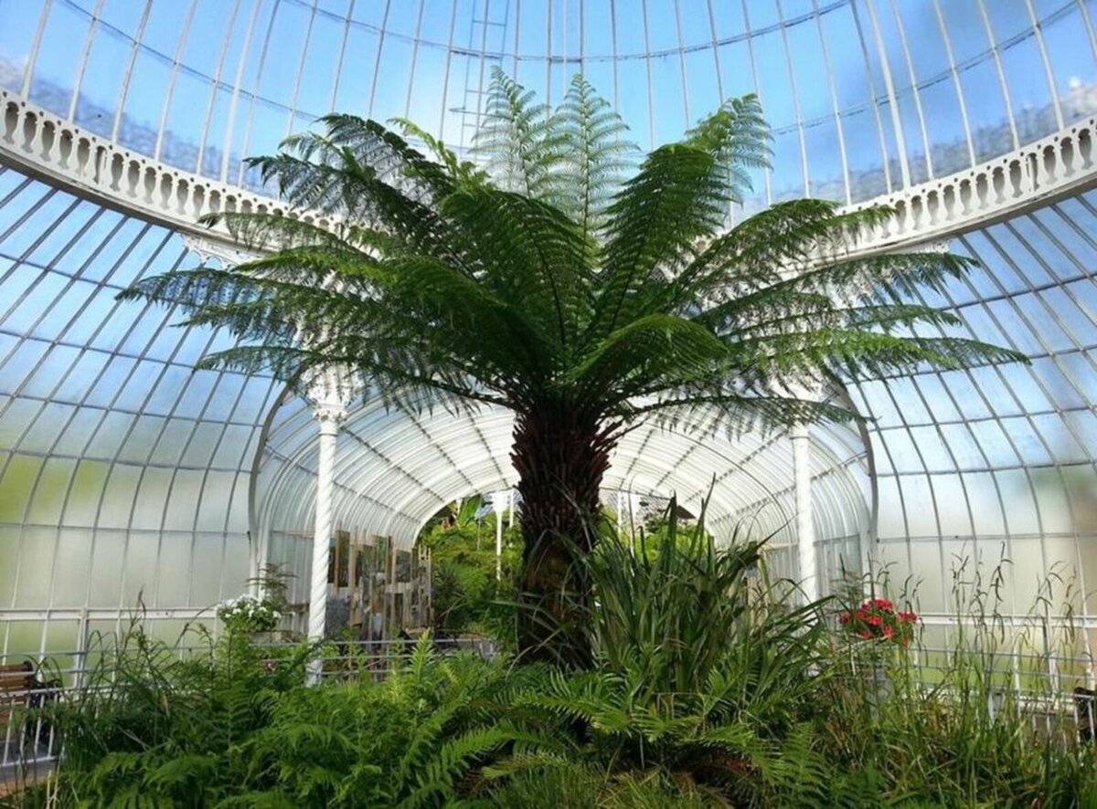 Ботанический сад Глазго