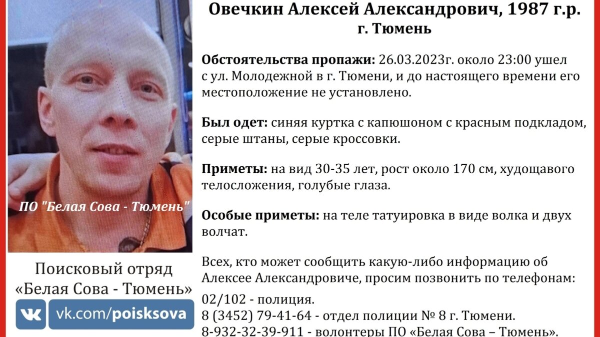 В Тюмени 26 марта бесследно пропал 36-летний мужчина с татуировкой в виде  волка и двух волчат | TMN.SM.NEWS | Дзен