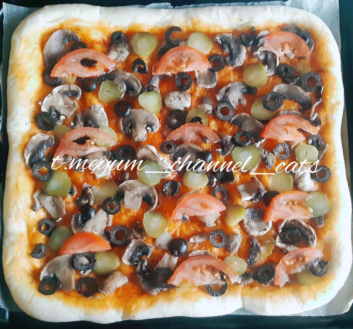 t.me/yum_channel_cats 