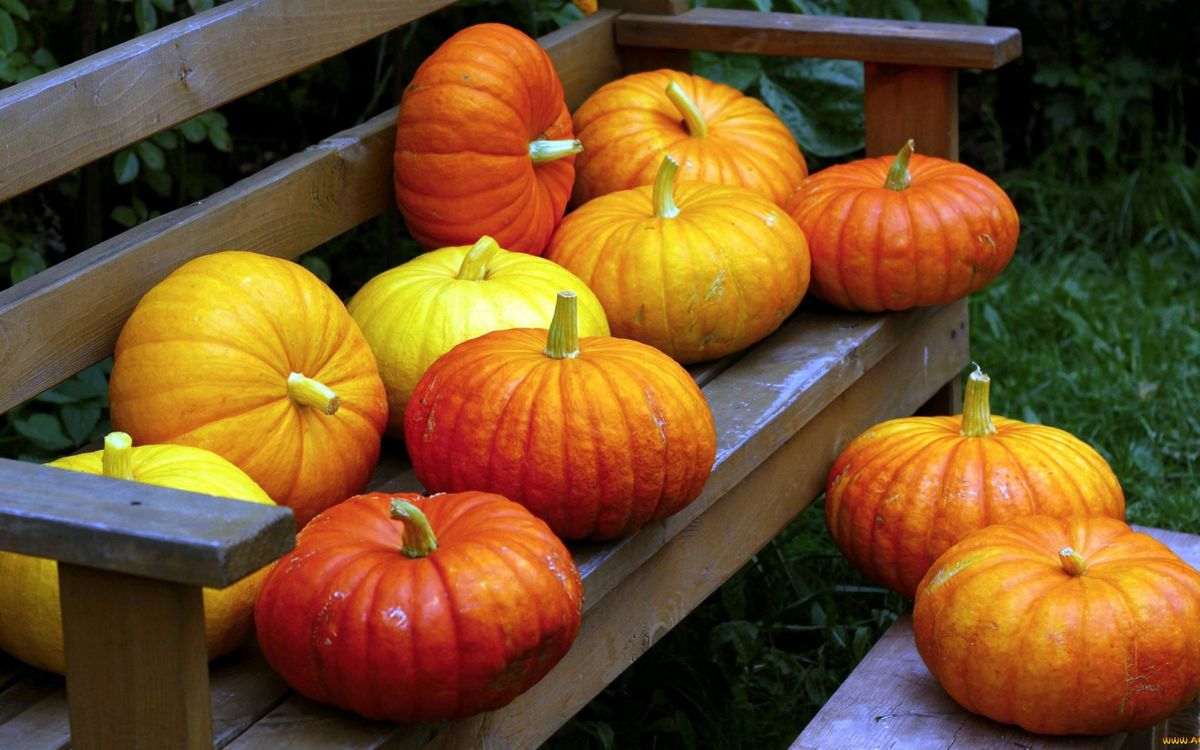 фото - fonwall. ru/wallpaper/lavochka-skameyka -tikvi -trava/