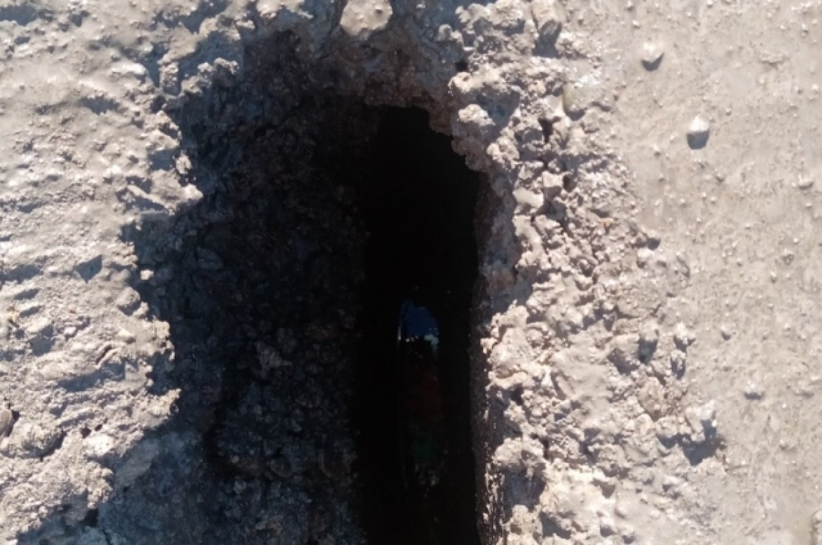 Ямальский кратер (ямальская воронка). Глубокое отверстие. Карстовая воронка на ямале. Камера колодца. Собака ебанько.