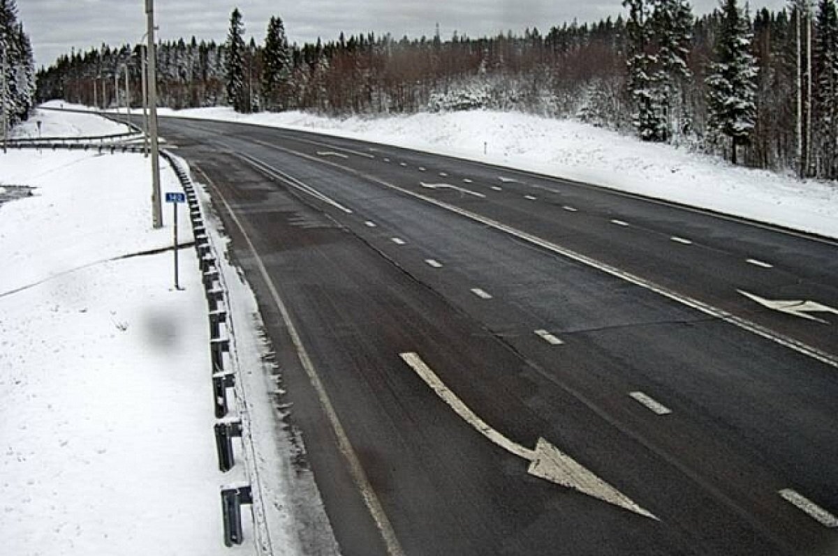    На трассе «Кола» под Петербургом в ДТП пострадали двое маленьких детей