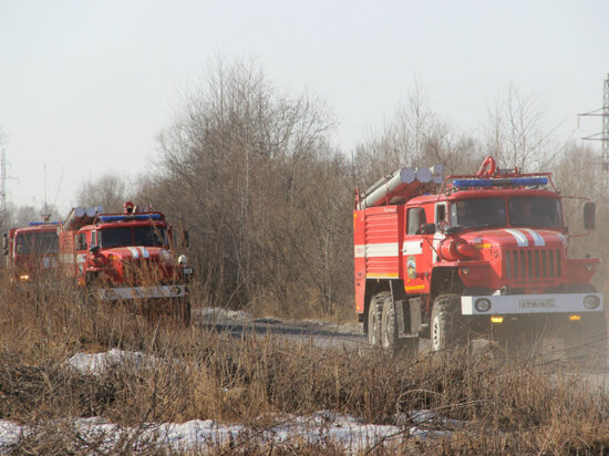     В Хабаровском крае в заповеднике «Большехехцирский» объявлен противопожарный режим ФОТО: ГУ МЧС России по Хабаровскому краю