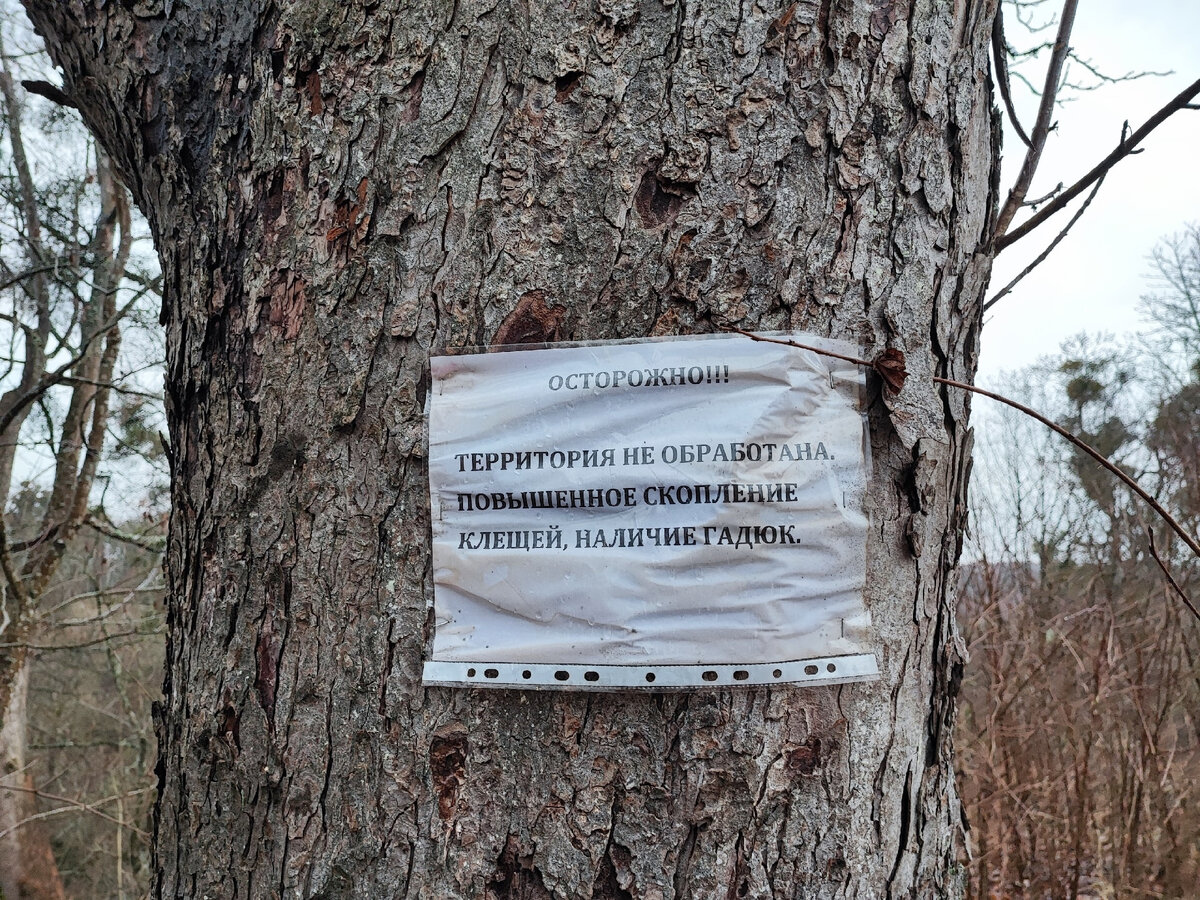 Такие объявления вдоль дороги развешаны на каждом дереве. Вдруг вы с первого раза не поняли.