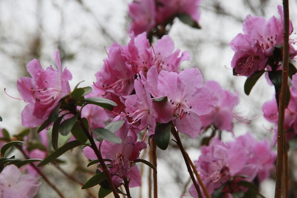     Фестиваль пройдет на базе «Бирюзовая Катунь» Олег УКЛАДОВ