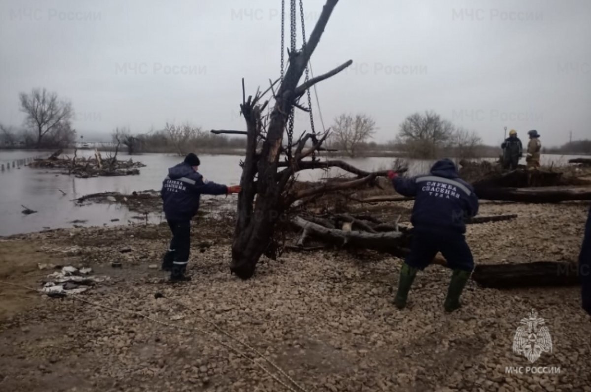    Спасатели и пожарные расчищают освободившийся от воды мост под Тулой