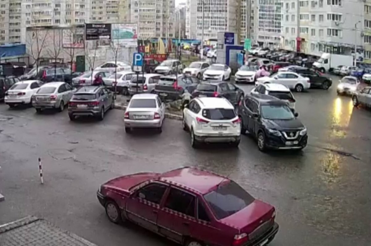    Собаки напали на ребенка в воронежском ЖК «Дельфин»